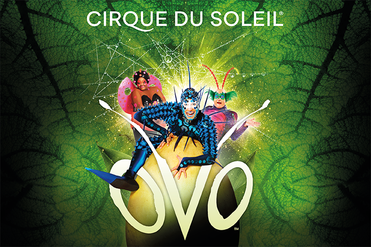 Cirque du Soleil - OVO